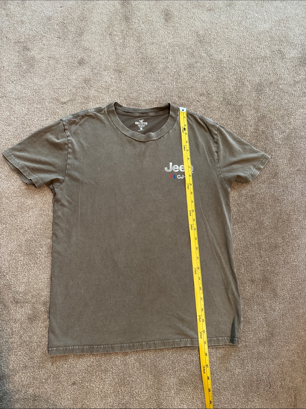 Hollister Short Sleeve Crewneck T-Shirt - Olive Green